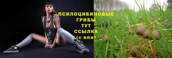 трава Армянск