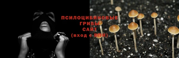 бутират Арсеньев