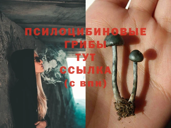 трава Армянск