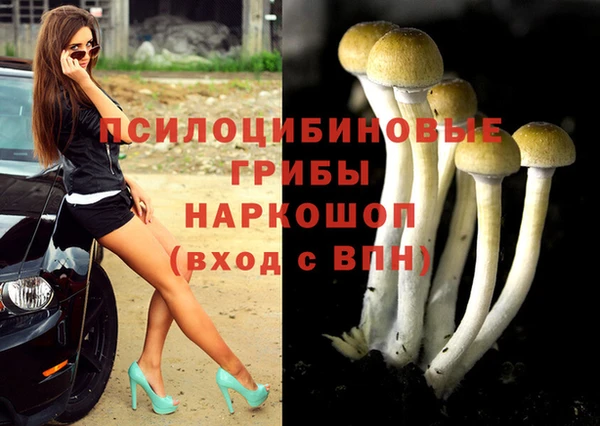 трава Армянск