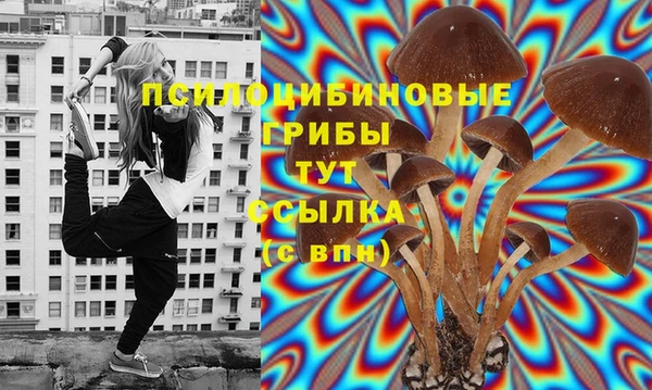 трава Армянск