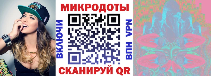закладка Саки Галлюциногенные грибы MAGIC MUSHROOMS